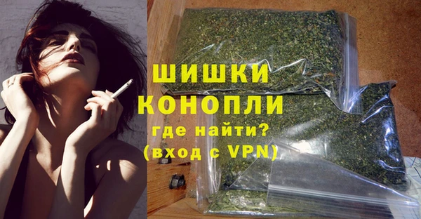 винт Абаза