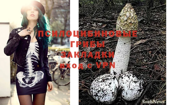 винт Абаза