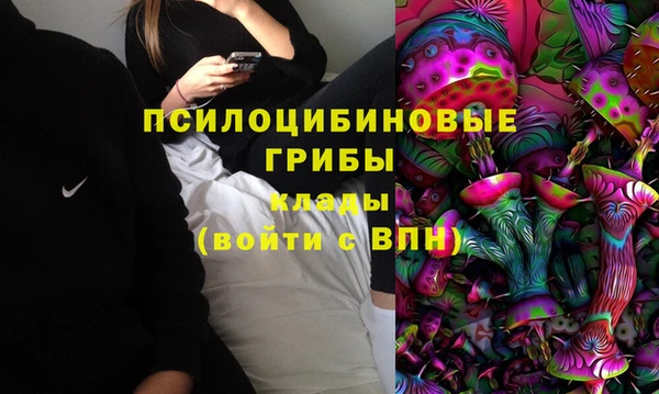 винт Абаза