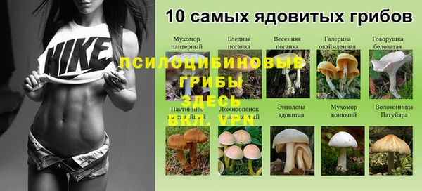 спайс Абдулино