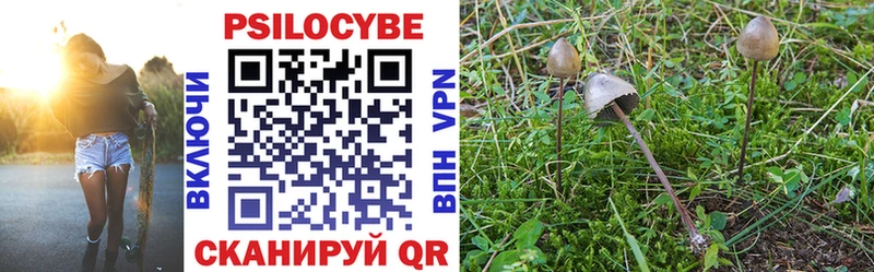 купить наркотик  МЕГА зеркало  Галлюциногенные грибы ЛСД  Весьегонск 